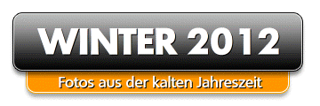 Winter 2012